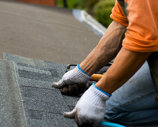 Professional Roofing Contractor in Prosperity, SC